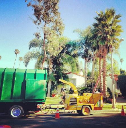 White Valley Tree Service Los Angeles (323)945-4526