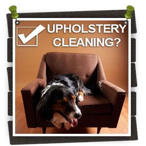 Carpet Cleaning in Houston TX - Houston, TX 77054 - (281)712-7854 | ShowMeLocal.com