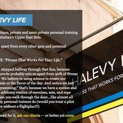 Halevy Life - New York, NY 10065 - (212)233-0633 | ShowMeLocal.com