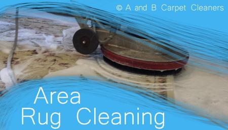 A and B Carpet Cleaners Brooklyn (718)236-0761