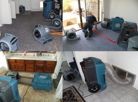 Tanin Carpet Cleaning, Water Damage, Mold Remediation Hinsdale - Hinsdale, IL 60521 - (630)230-8874 | ShowMeLocal.com