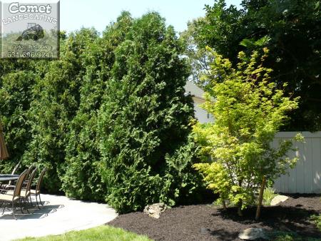 Comet Landscaping & Construction - Coram, NY 11727 - (631)696-9241 | ShowMeLocal.com