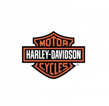 Youngstown Harley-Davidson - Youngstown, OH 44515 - (330)505-2000 | ShowMeLocal.com