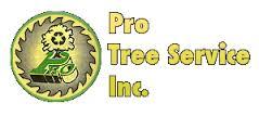 Pro Tree Service Inc - Kirtland, OH 44094 - (440)256-3100 | ShowMeLocal.com
