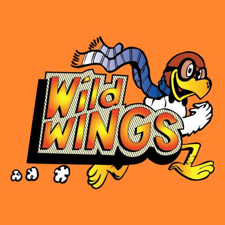 Wild Wings Pizza & Things - Ephrata, PA 17522 - (717)733-3355 | ShowMeLocal.com