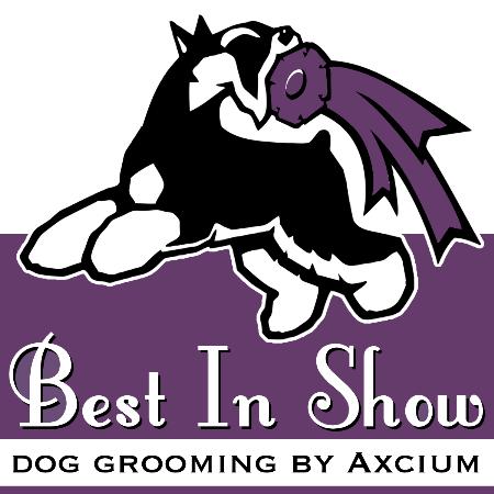 Best In Show - dog grooming by Axcium - Atlanta, GA 30311 - (404)752-7909 | ShowMeLocal.com