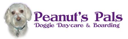 Peanuts Pals Doggie Daycare and Boarding - Edmonds, WA 98020 - (206)661-4623 | ShowMeLocal.com