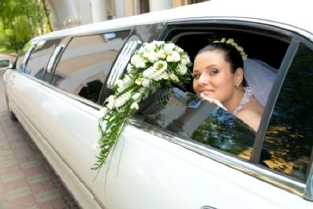 Rochester NY limo LE Limousine Rochester (585)482-8961