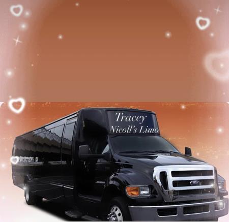 Tracey Nicoll's Limousine & Hummer Rentals in New Orleans - New Orleans, LA 70125 - (504)566-7799 | ShowMeLocal.com