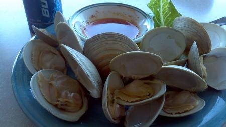 $5.95 steamers all day everyday all year! Served with Tony's amazing butter...you won't stop at 1 dozen. Didonna'S South Shore Restaurant Malta (518)584-0227