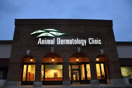 Animal Dermatology Clinic - Indianapolis, IN 46240 - (317)578-7773 | ShowMeLocal.com