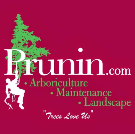 Prunin Arboriculture and Landscapes - Laguna Woods, CA 92653 - (949)346-5199 | ShowMeLocal.com