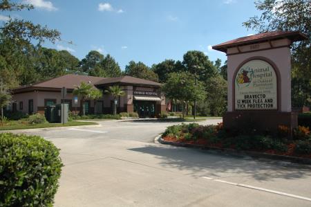 Animal Hospital at Oakleaf Plantation - Jacksonville, FL 32222 - (904)317-6555 | ShowMeLocal.com