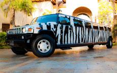 Hummer Limo Ride - Dallas, TX 75219 - (214)736-1570 | ShowMeLocal.com