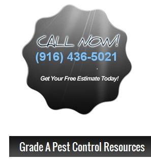 Grade A Pest Control Carmichael (916)436-5021