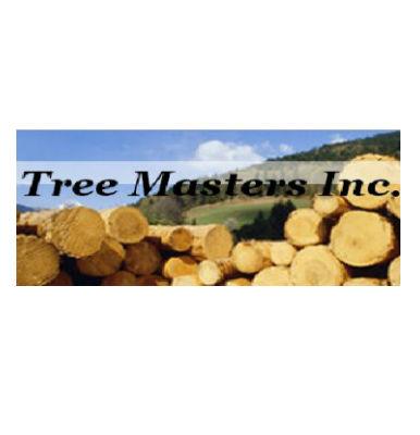 Tree Masters - Highlands, NJ 07732 - (732)939-1934 | ShowMeLocal.com