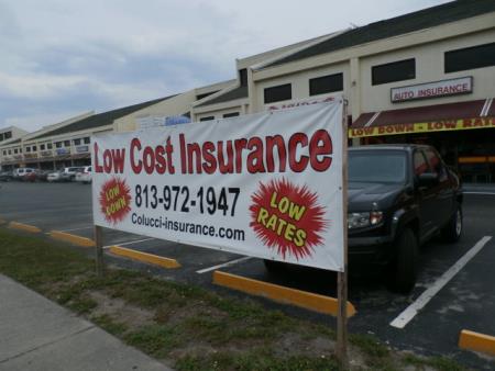 Colucci Insurance Tampa (813)972-1947