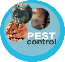 No-Body Pest Control - Myrtle Beach, SC 29588 - (843)995-0365 | ShowMeLocal.com