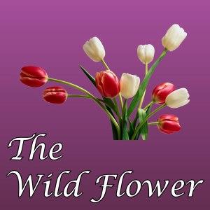 The Wild Flower - Van Nuys, CA 91401 - (818)787-7833 | ShowMeLocal.com
