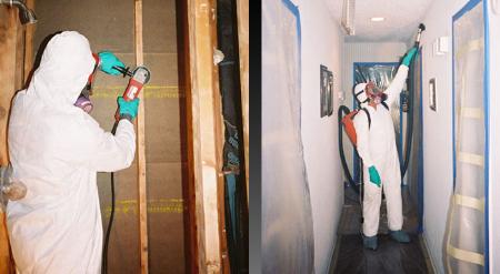 Tcwrc Mold Removal Fort Lauderdale - Fort Lauderdale, FL 33301 - (877)257-5776 | ShowMeLocal.com