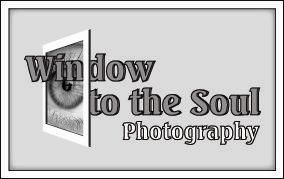 A Window To Your Soul Photography - Safety Harbor, FL 34695 - (727)400-2672 | ShowMeLocal.com