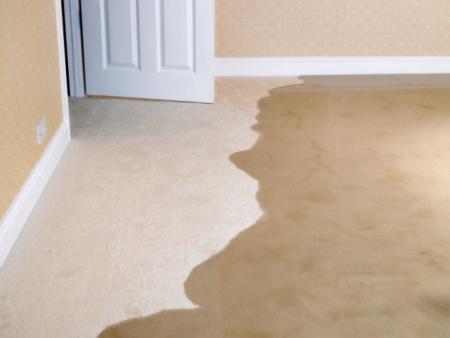 Burbank Expert Carpet Cleaners - Burbank, CA 91502 - (818)473-9413 | ShowMeLocal.com