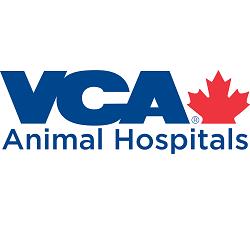 VCA Canada 17th Avenue Animal Hospital - Calgary, AB T2S 0A4 - (403)228-4165 | ShowMeLocal.com