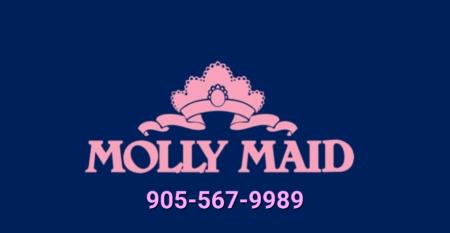 Molly Maid - Mississauga North Mississauga (905)567-9989