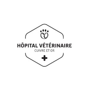 Hôpital Vétérinaire Cuivre et Or - Rouyn-Noranda, QC J9X 2J1 - (819)764-5959 | ShowMeLocal.com