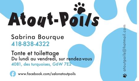 Atout Poils - Lévis, QC G6W 7E2 - (418)838-4322 | ShowMeLocal.com