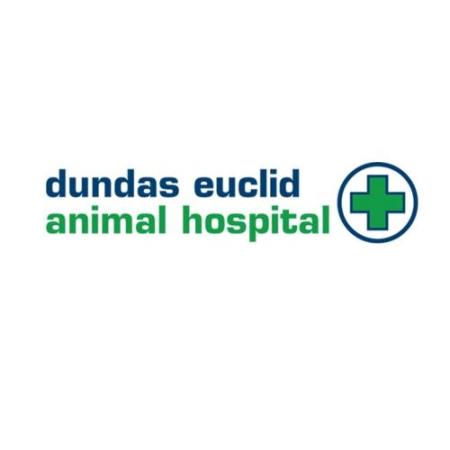 Dundas Euclid Animal Hospital - Toronto, ON M6J 1V5 - (416)362-9696 | ShowMeLocal.com