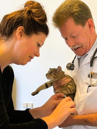 Eglinton Veterinary Facilities - Toronto, ON M4R 1A8 - (416)487-1533 | ShowMeLocal.com