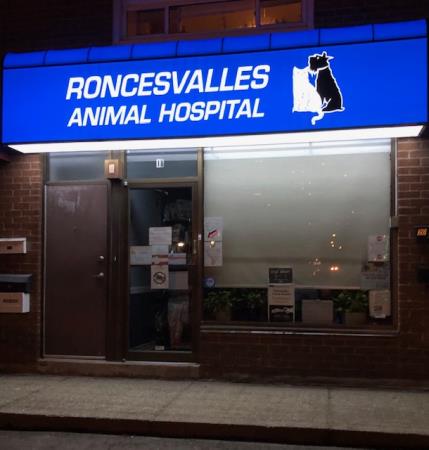 welcome to roncesvalles animal hospital, your local veterinarian in the trendy roncesvalles neighborhood in toronto.

we’re proud to provide a wide variety of veterinary medical services for your furry family members.

our animal hospital is run by dr. henry skutelsky, a university of guelph graduate, cvo licensed and experienced in small animal medicine and dr. hana schwarz accredited by the atlantic veterinary college in pei, cvo licensed and experienced in small animal medicine. 

if you live Roncesvalles Animal Hospital Toronto (416)531-8282