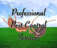 All Pest Control Services - Van Nuys, CA 91405 - (818)276-6303 | ShowMeLocal.com