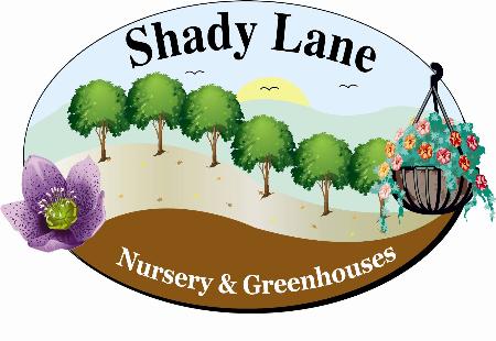 Shady Lane Greenhouses - Marion, PA 17202 - (717)375-6032 | ShowMeLocal.com