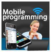 Mobile Programming LLC. - New York, NY 10006 - (212)688-6950 | ShowMeLocal.com