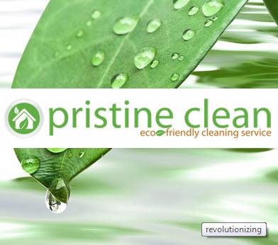 Pristine Clean Planet - Asheville, NC 28806 - (828)215-9634 | ShowMeLocal.com
