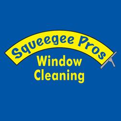 Squeegee Pros - Mooresville, NC 28117 - (704)799-0313 | ShowMeLocal.com