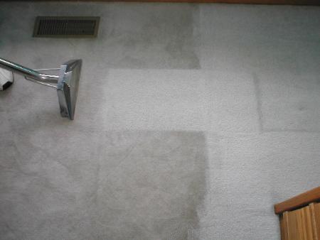 Vip Carpet Cleaners El Segundo - El Segundo, CA 90245 - (310)431-9082 | ShowMeLocal.com