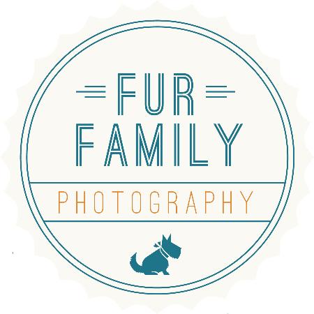 Fur Family Photography - Portland, OR 97217 - (503)583-7554 | ShowMeLocal.com