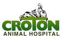 Croton Animal Hospital - Croton On Hudson, NY 10520 - (914)271-6222 | ShowMeLocal.com