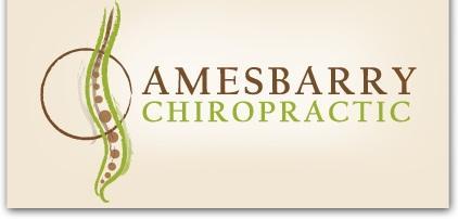 Amesbarry Chiropractic - Burnsville, MN 55337 - (952)894-9888 | ShowMeLocal.com
