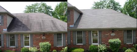Advantage Roof Cleaning Co. - Aurora, IL 60503 - (630)730-8105 | ShowMeLocal.com