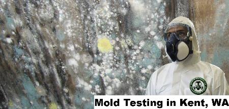 Mold Testing - Kent, WA 98030 - (888)351-0399 | ShowMeLocal.com