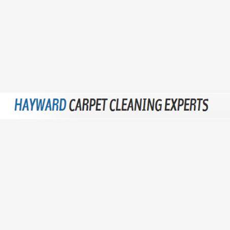 Hayward Carpet Cleaning Experts - Hayward, CA 94541 - (510)584-9665 | ShowMeLocal.com