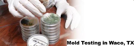 Mold Testing - Waco, TX 76705 - (888)351-0399 | ShowMeLocal.com