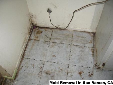 Mold Removal - San Ramon, CA 94582 - (888)547-2290 | ShowMeLocal.com
