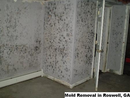 Mold Removal - Roswell, GA 30075 - (888)547-2290 | ShowMeLocal.com