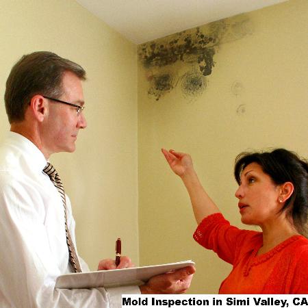 Mold Inspection - Simi Valley, CA 93063 - (866)413-4411 | ShowMeLocal.com