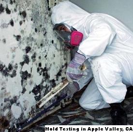 Mold Testing - Apple Valley, CA 92307 - (888)351-0399 | ShowMeLocal.com